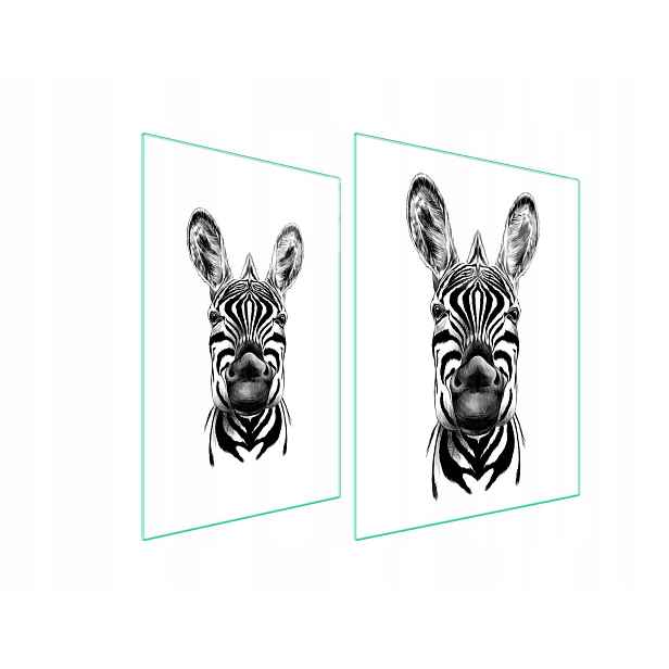 7v1 Skleněná ochranná deska na sporák 70x52 Zebra