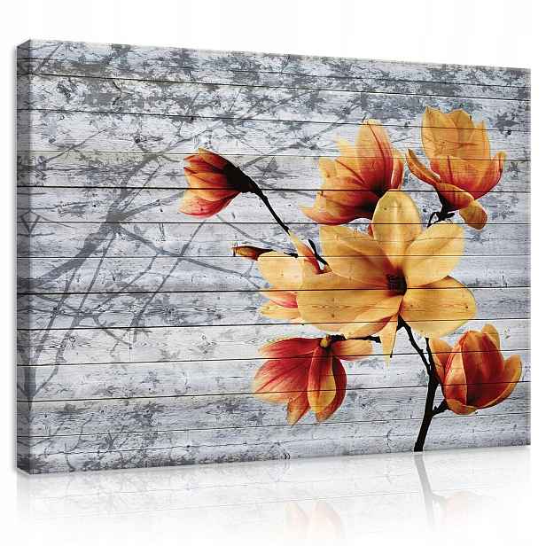 Obraz 80x60 Květiny kvetoucí magnolie oranžový žlutý vintage příroda