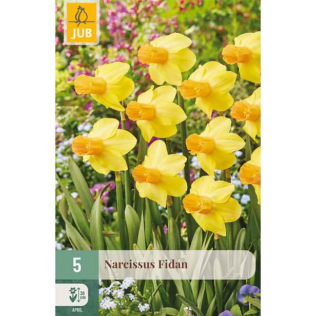 Narcis Fidan 5 ks