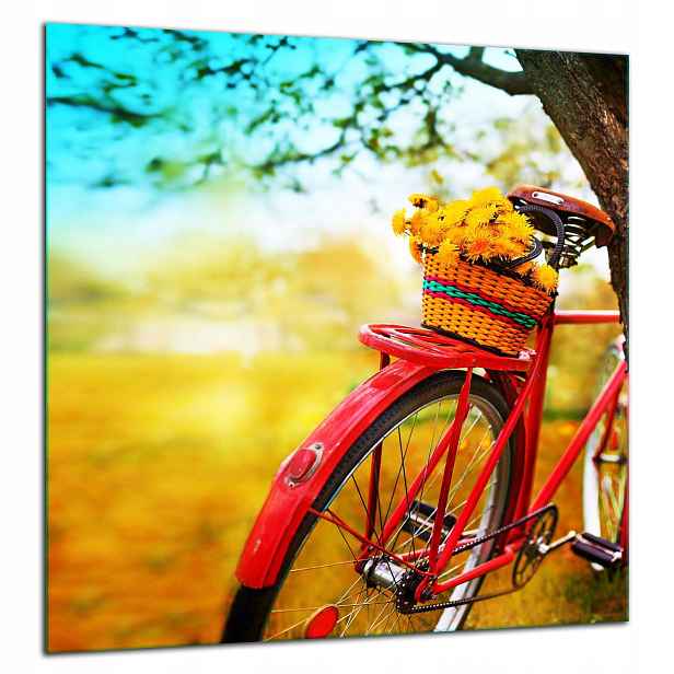 Skleněná Ochranná Deska Panel Lepidlo 60x65 Kolo