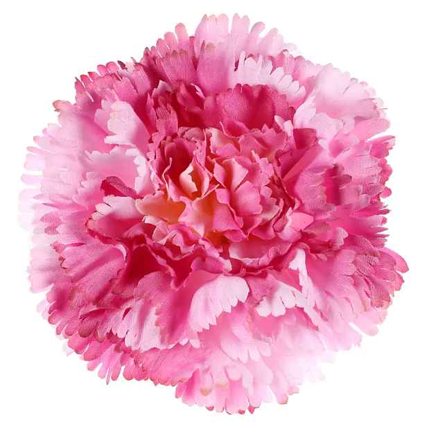 Autronic Karafiát květ 12 ks KUM3420-PINK