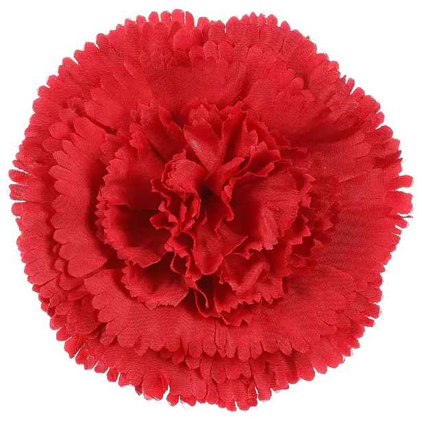 Autronic Karafiát květ 12 ks KUM3420-RED
