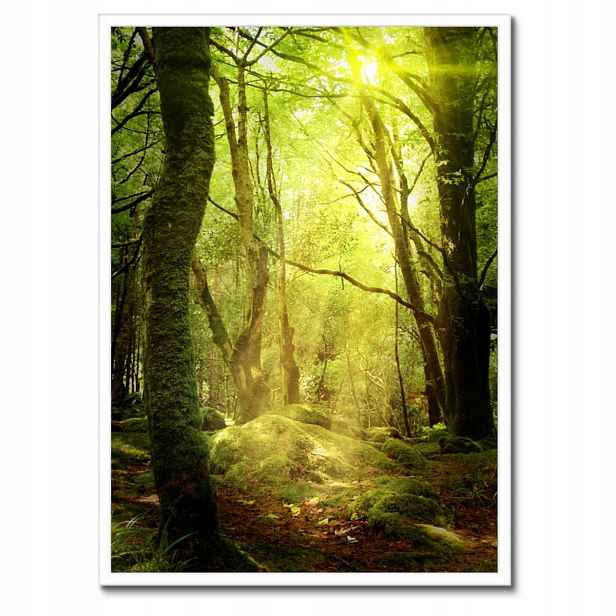 Plakáty v rámu 50x70 Kouzelný les Krajina