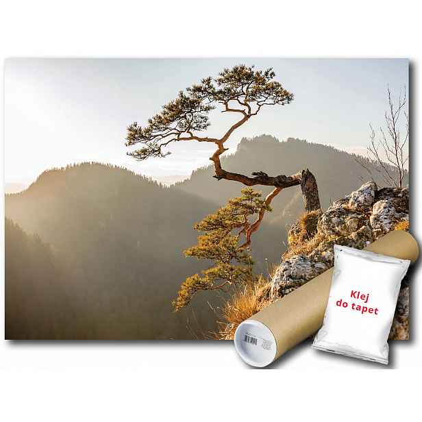 Fototapeta Flizelina Hory Pieniny Borovice 416x290