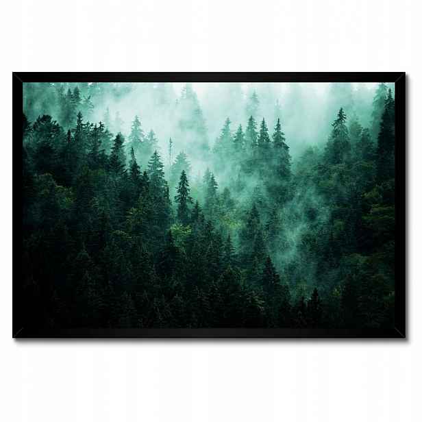 Plakáty v rámu 60x40 Les Mlha Krajina Cestování