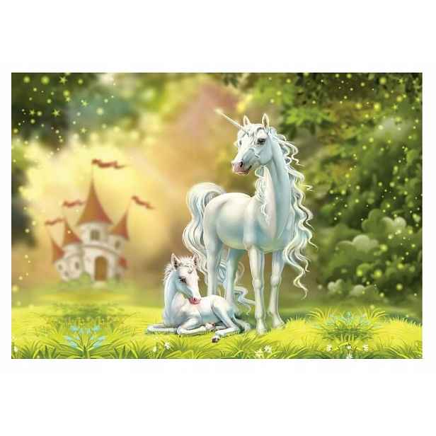Fototapeta Jednorožci Dívka Fantasy 312x219
