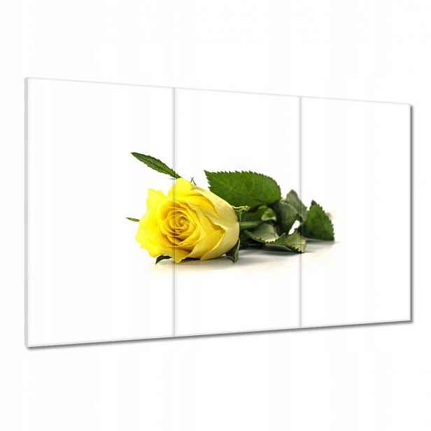 Obrazy 120x80 Žlutá růže pro dívku