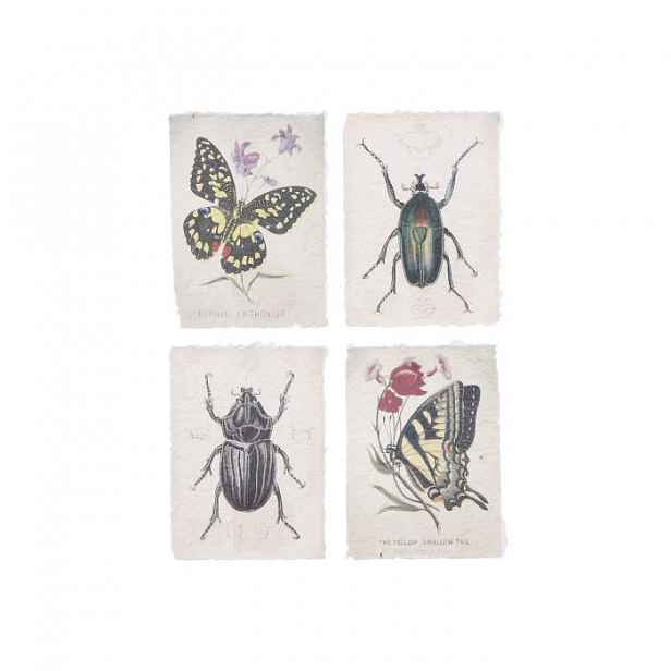 Obraz/plakát dekor hmyz papír mix 20cm