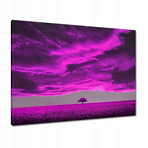 Obrazy 80x60 Fialová krajina