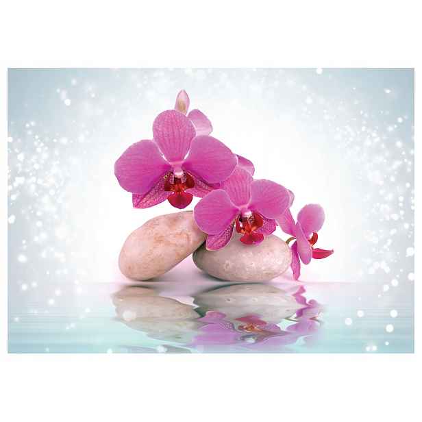 Vliesová fototapeta Růžové orchideje a relaxační kameny 250x175 lepidlo