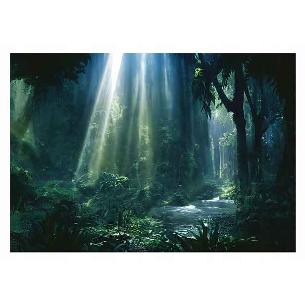Fototapeta Tropický Les Džungle Listy 254x184