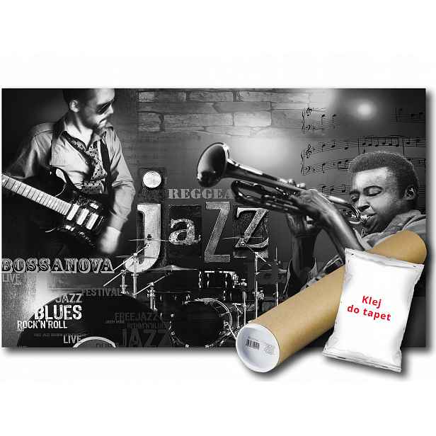 Fototapeta Reggae Blues 16A V4 254x184 F253