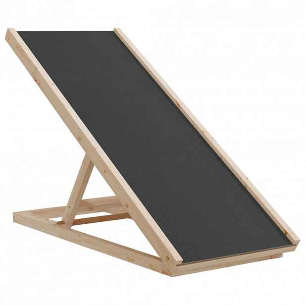 vidaXL Rampa pro psy šedá 100 x 40 cm masivní jedlové dřevo