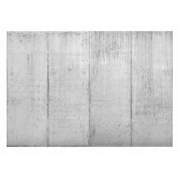 Fototapeta Beton Omítka Zeď Šedá Imitace Tapeta Na Zeď Ložnice 368x254