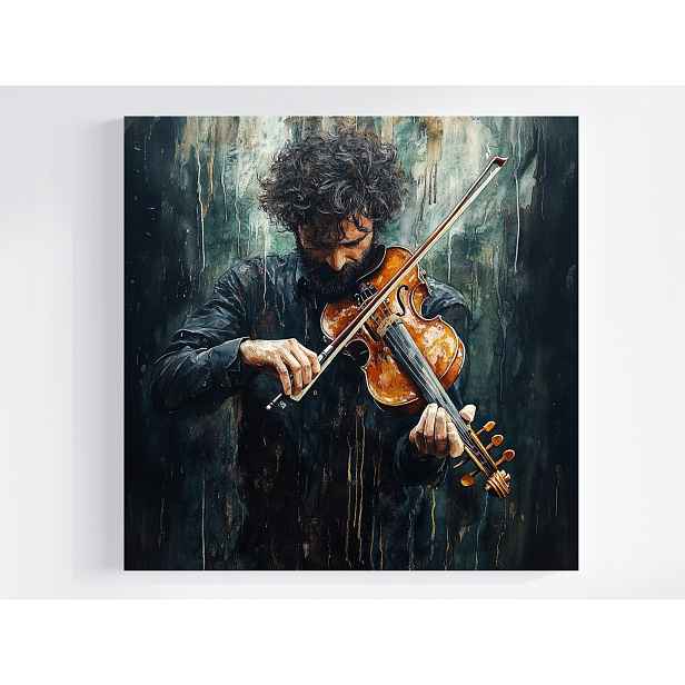 Obraz Na Plátně Plátno Portét Muž Houslista Hudba Koncert 50x50