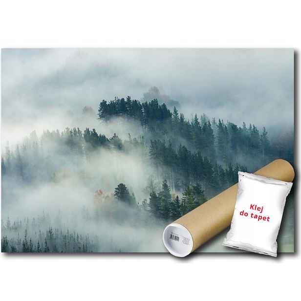 Vinylová Fototapeta Les Hory Mlha Pohled 152x104