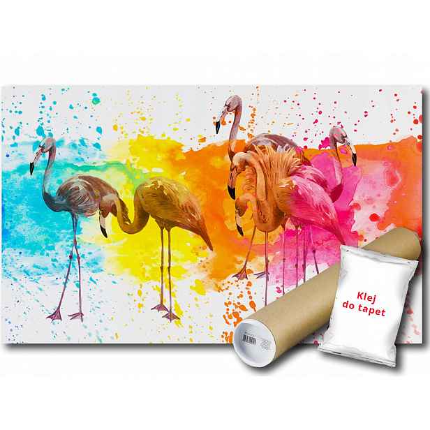 Vinylová Fototapeta Plameňák Pták Grafika Kresba Umění Obrázek 152x104