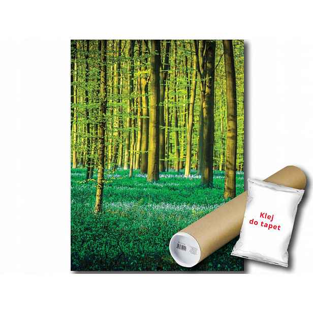 Fototapeta Zelený Les 19A Panxl 206x275 F1438