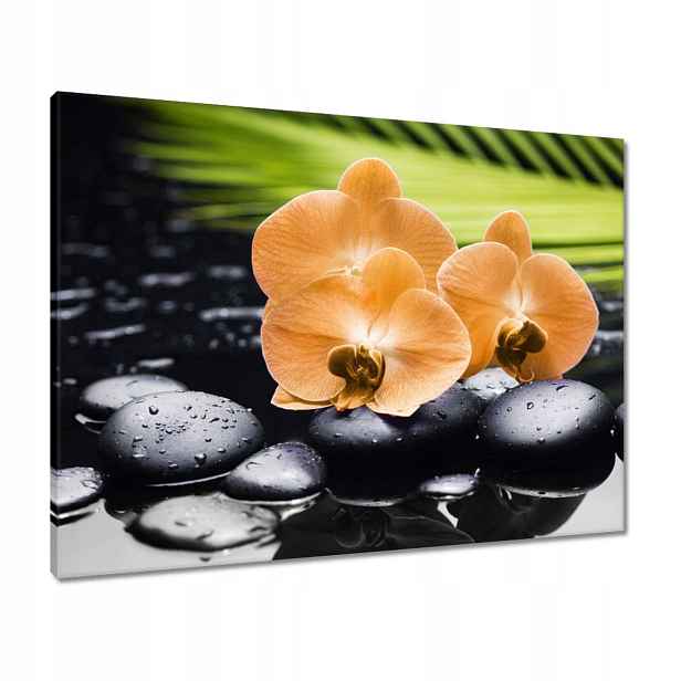 Obrazy 80x60 Oranžové orchideje