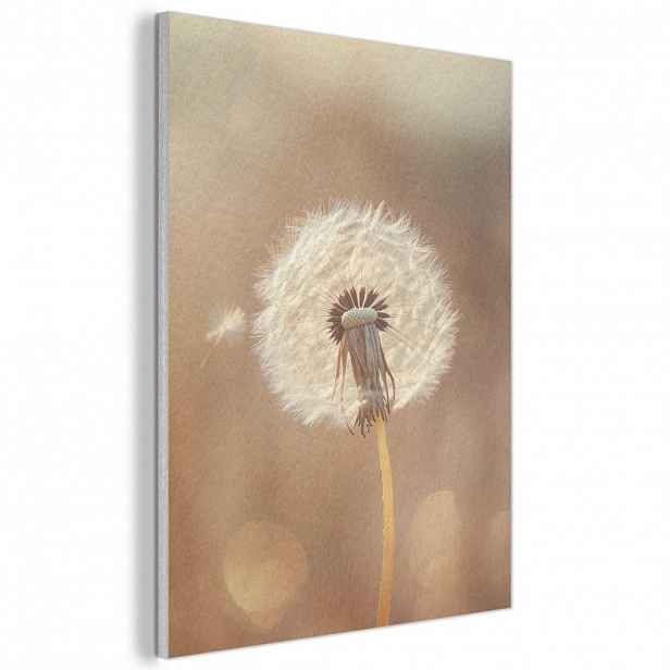 MuchoWow AKUSTICKÝ obraz Pampeliška - Béžová - Příroda - Květina 60x80 cm