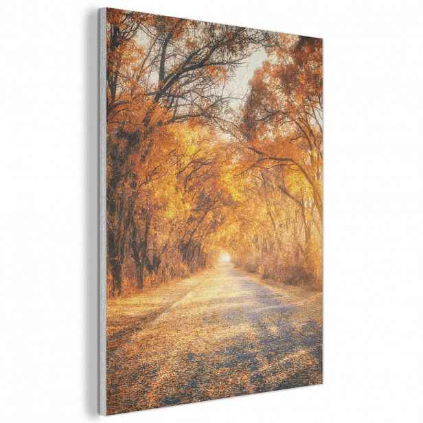 MuchoWow AKUSTICKÝ obraz Les - Podzim - Stromy - Lesní cesta - Příroda 60x80 cm