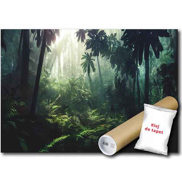 Vinylová Fototapeta Les Džungle Tropik 152x104