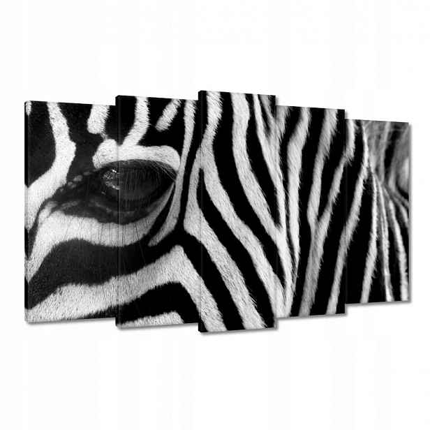 Obrazy 100x60 Černobílé pruhy Zebra