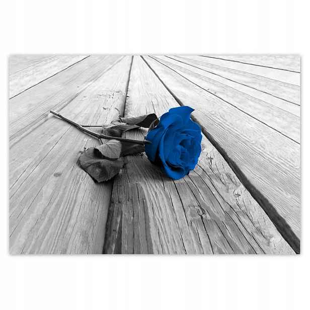 Fototapety 152x104 Modrá růže na deskách