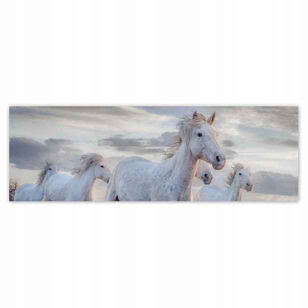 Plakáty 200x66 Divocí koně Wild Horses