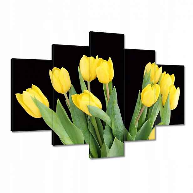 Obrazy 150x105 Žluté tulipány