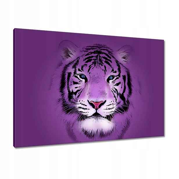 Obrazy 100x70 Fialový obrázek tygra Tige