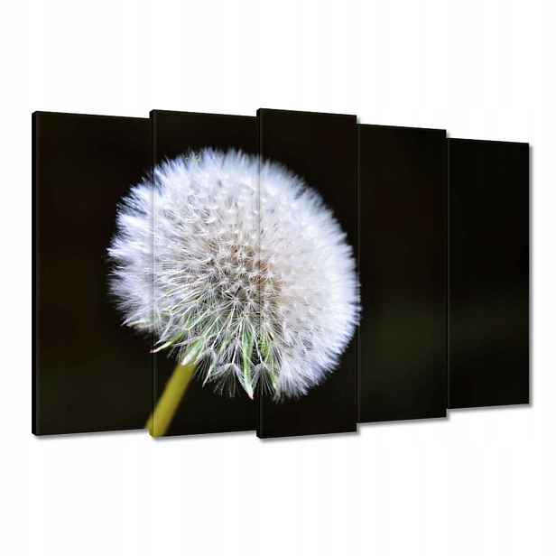 Obrazy 150x95 Pampeliška Květ Květiny