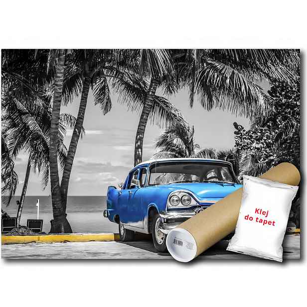 Vinylová Fototapeta Auto Dodge Oldtimer Kuba Palmy 152x104