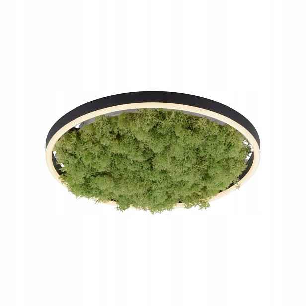 stropní svítidlo Led 20W Green Ritus 15391-66 LeuchtenDirekt