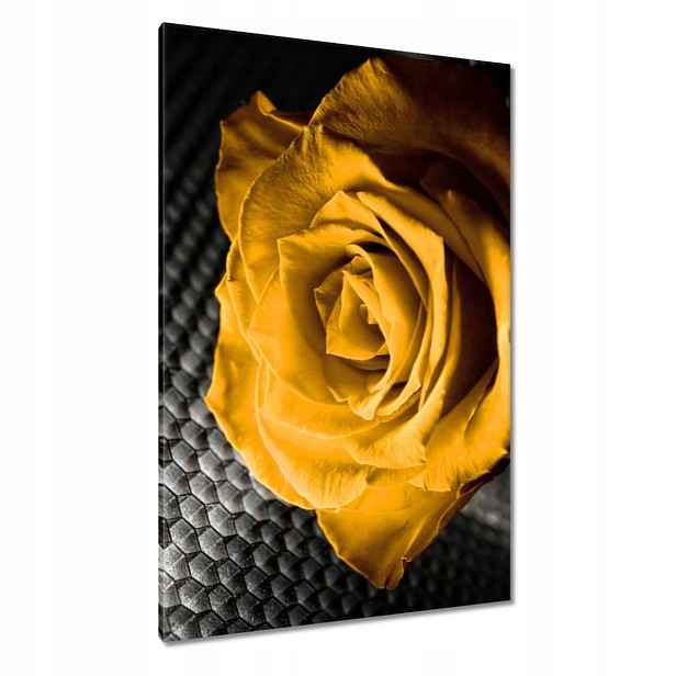 Obrazy 80x120 Žlutá růže