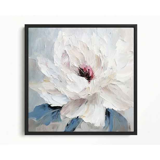 Obraz Rám Americký Box Příroda Makro Zahrada Flora Bílý Květ Peonia 50x50