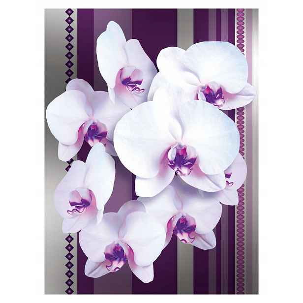 Fototapeta Bílé orchideje Fialová Elegance do obývacího pokoje 206x275 lepidlo