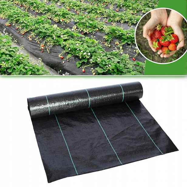 Agrotkanina Agrotextilie 2x25 m Černá Proti Plevelům 90 g