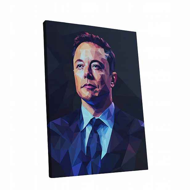Obraz na plátně Portrét Elon Musk v obývacím pokoji Elona Muska dárek 60x80