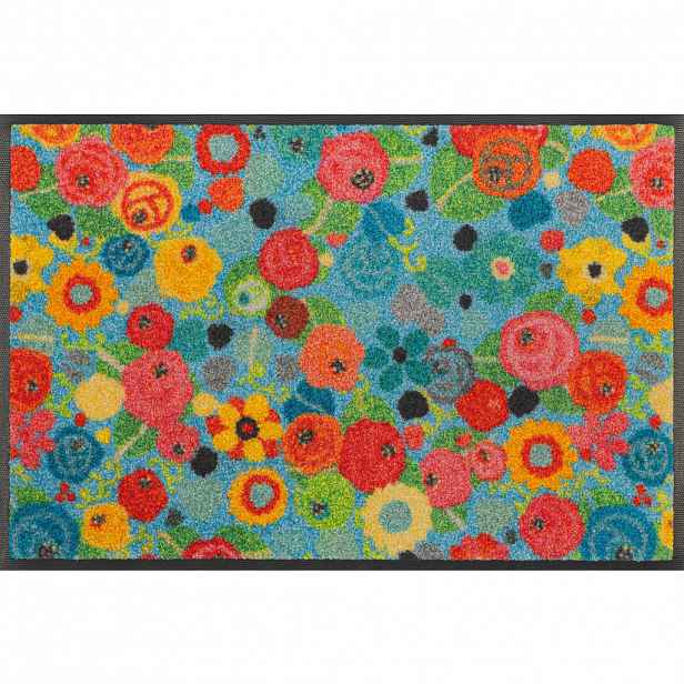 wash+dry DVEŘNÍ ROHOŽKA, 40/60 cm vícebarevná