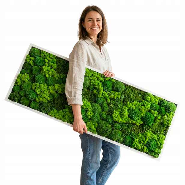 Obraz z mechu v dřevěném rámu mech Chrobotek Polštářový Plochý 150x50 cm