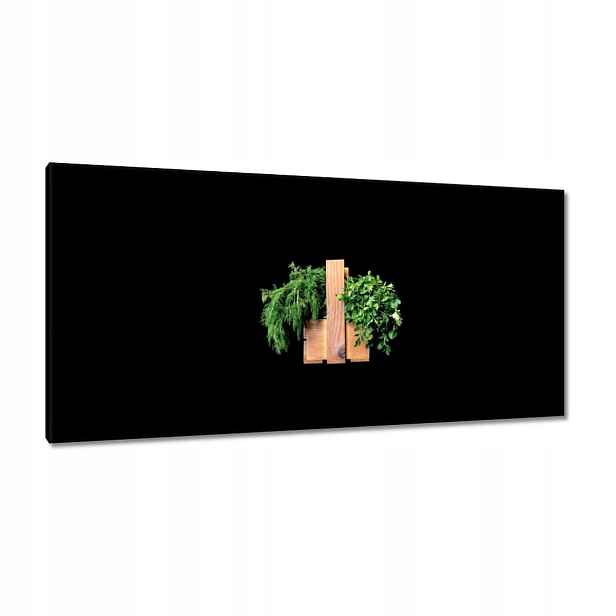 Obrazy 115x55 Petrželka Kopr bylinky