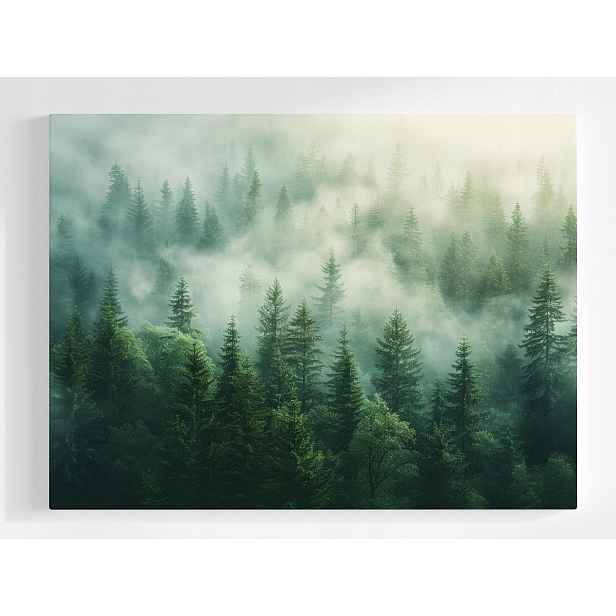 Plakát Krajina Hory Stromy Les Mlha Slunce 100x75