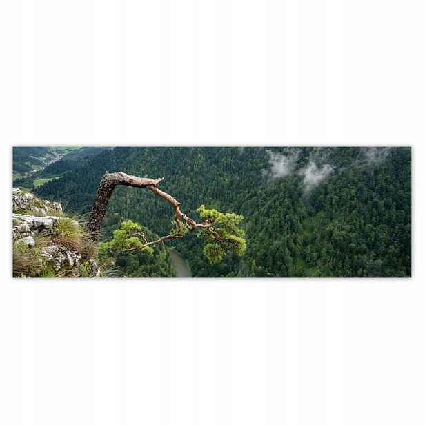 Plakáty 200x66 Krajina Sokolica