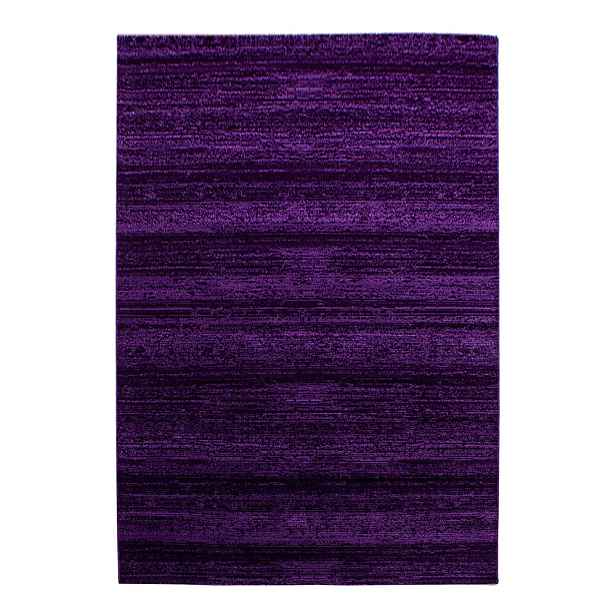 Tmavě fialový koberec 120x170 cm Plus – Ayyildiz Carpets