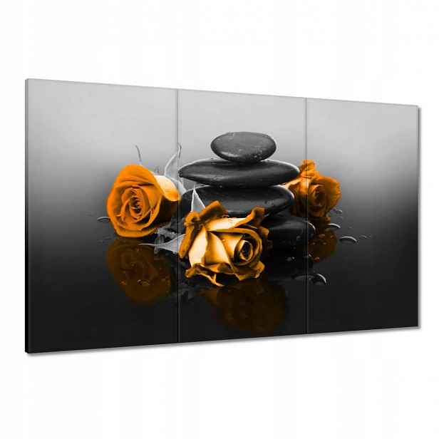Obrazy 120x80 Oranžová růže Spa