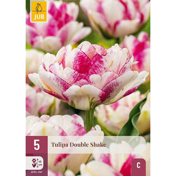 Tulipán Double Shake 5 ks