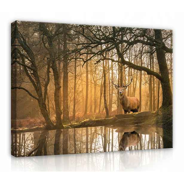 Obraz Na Plátně Canvas 80x60 Les Stromy Jelen
