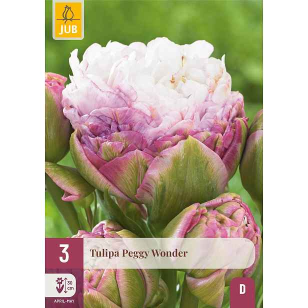 Tulipán Peggy Wonder 3 ks
