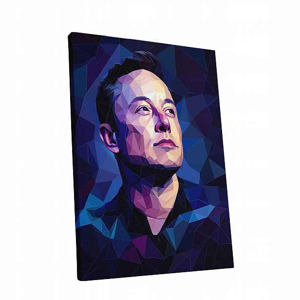 Obraz na plátně Portrét Elon Musk v obývacím pokoji Elona Muska dárek 60x80